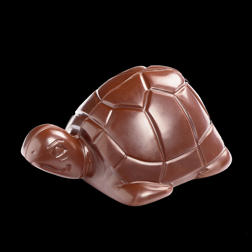 Tortue de Pâques