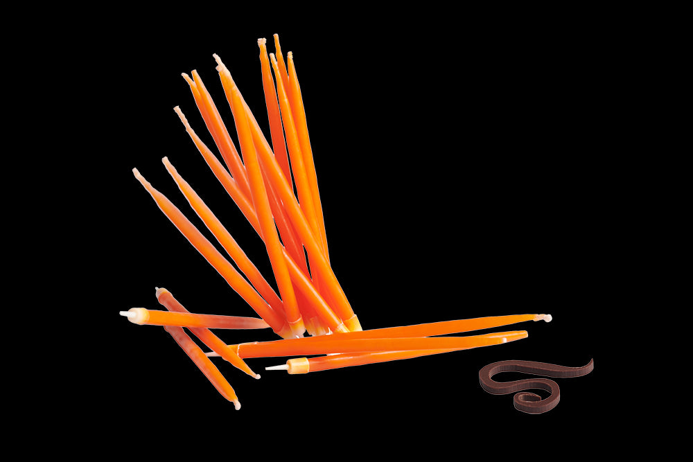 2005.jpg
