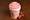 Sorbet Fraise Gariguette