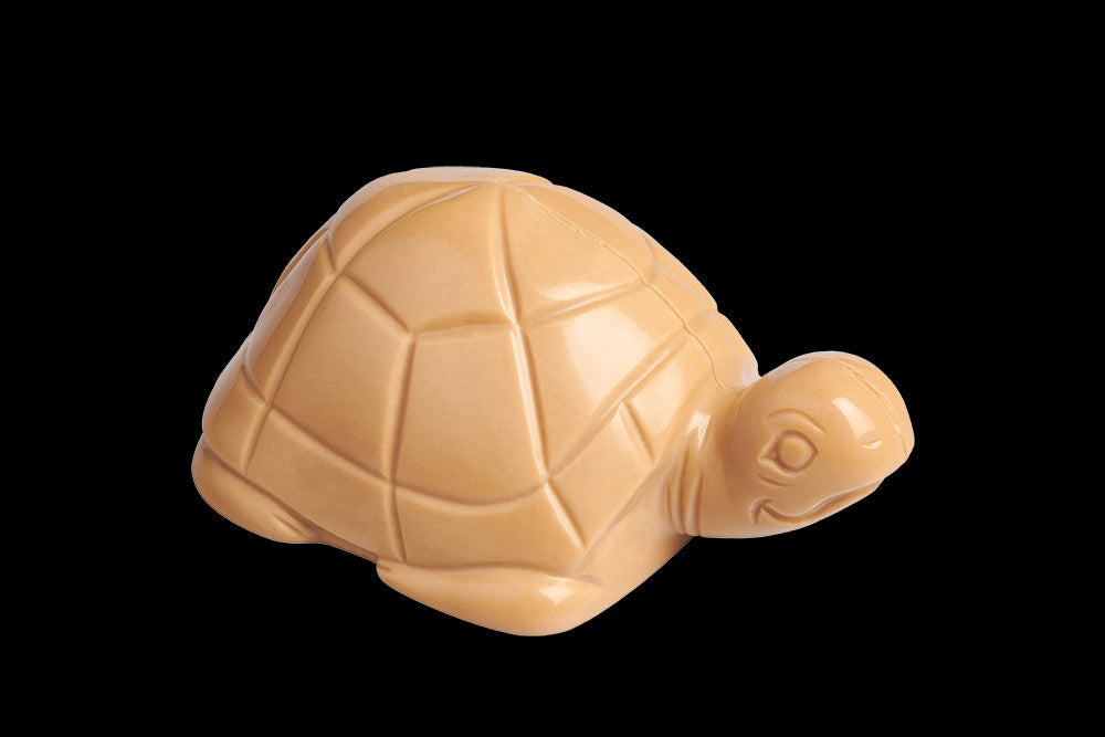 Tortue de Pâques