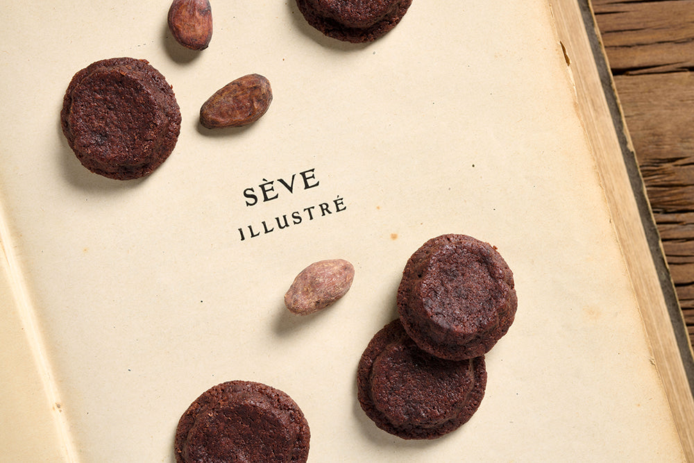 Sablés au chocolat
