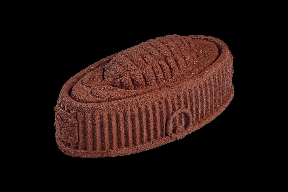 Bûche 1905