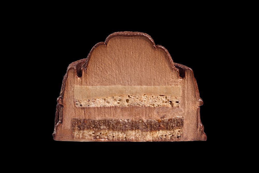 Bûche 1905