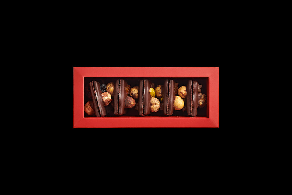Mendiants au chocolat noir