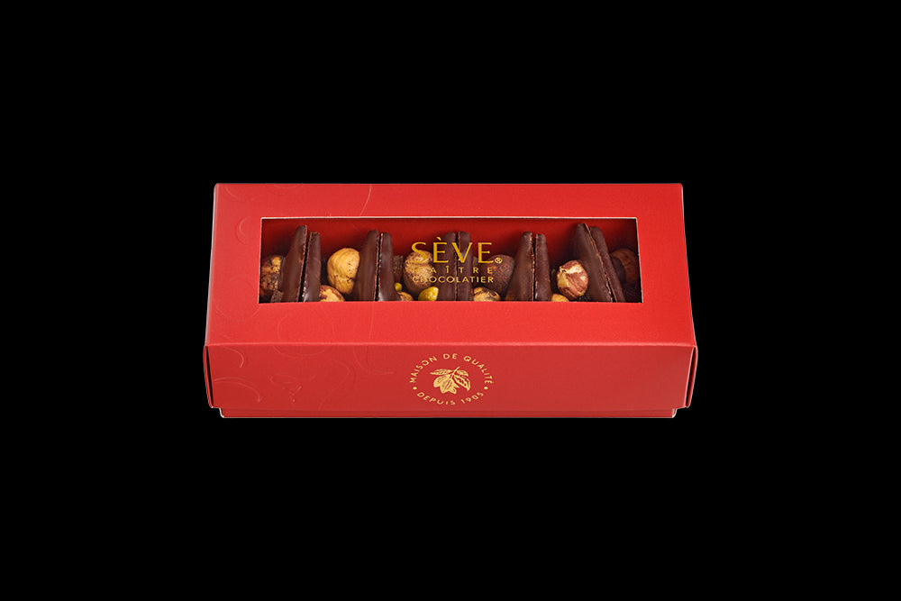 Mendiants au chocolat noir