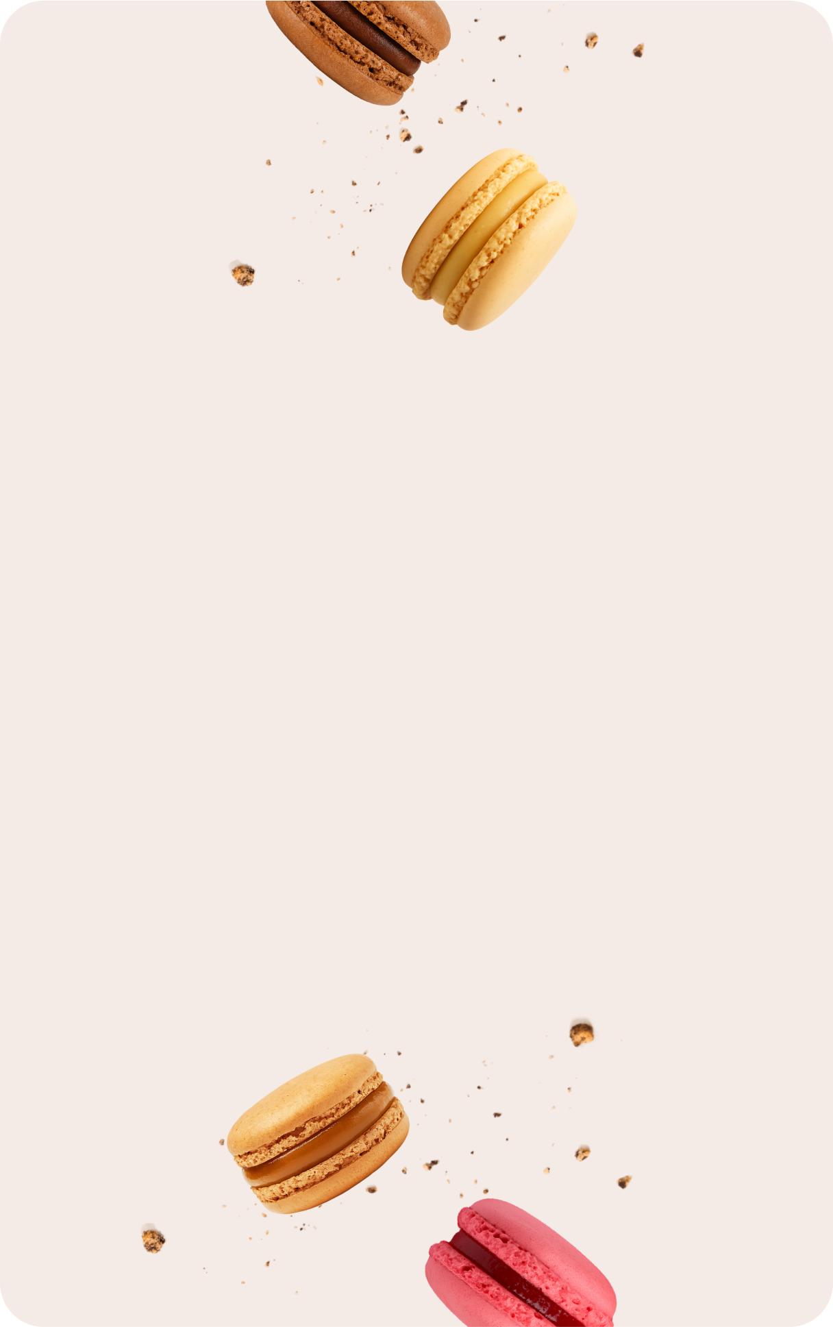 Banner_2f8074ef-d54c-4884-9c16-ee9f589125d8.png