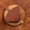 Éventail au Chocolat – Pâtisserie au Chocolat Noir