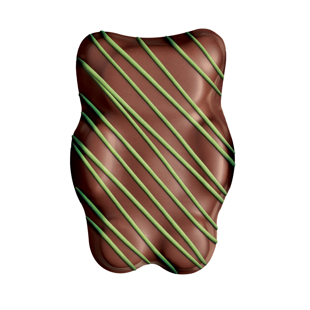Ourson-guimauve-pistache_f88f9268-14f9-466c-b989-d508f08ba91a.png