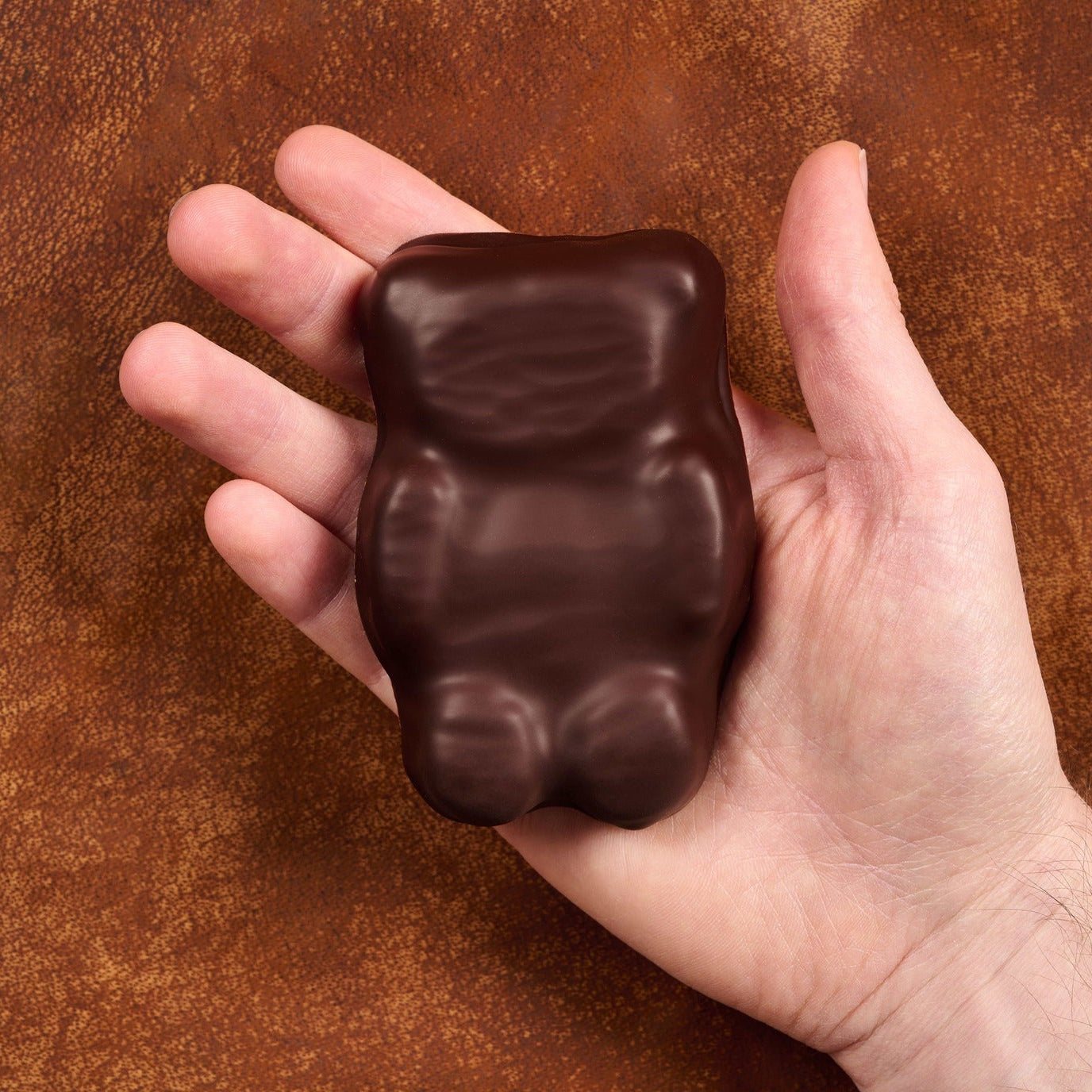 Ourson_guimauve_chocolat_noir_main