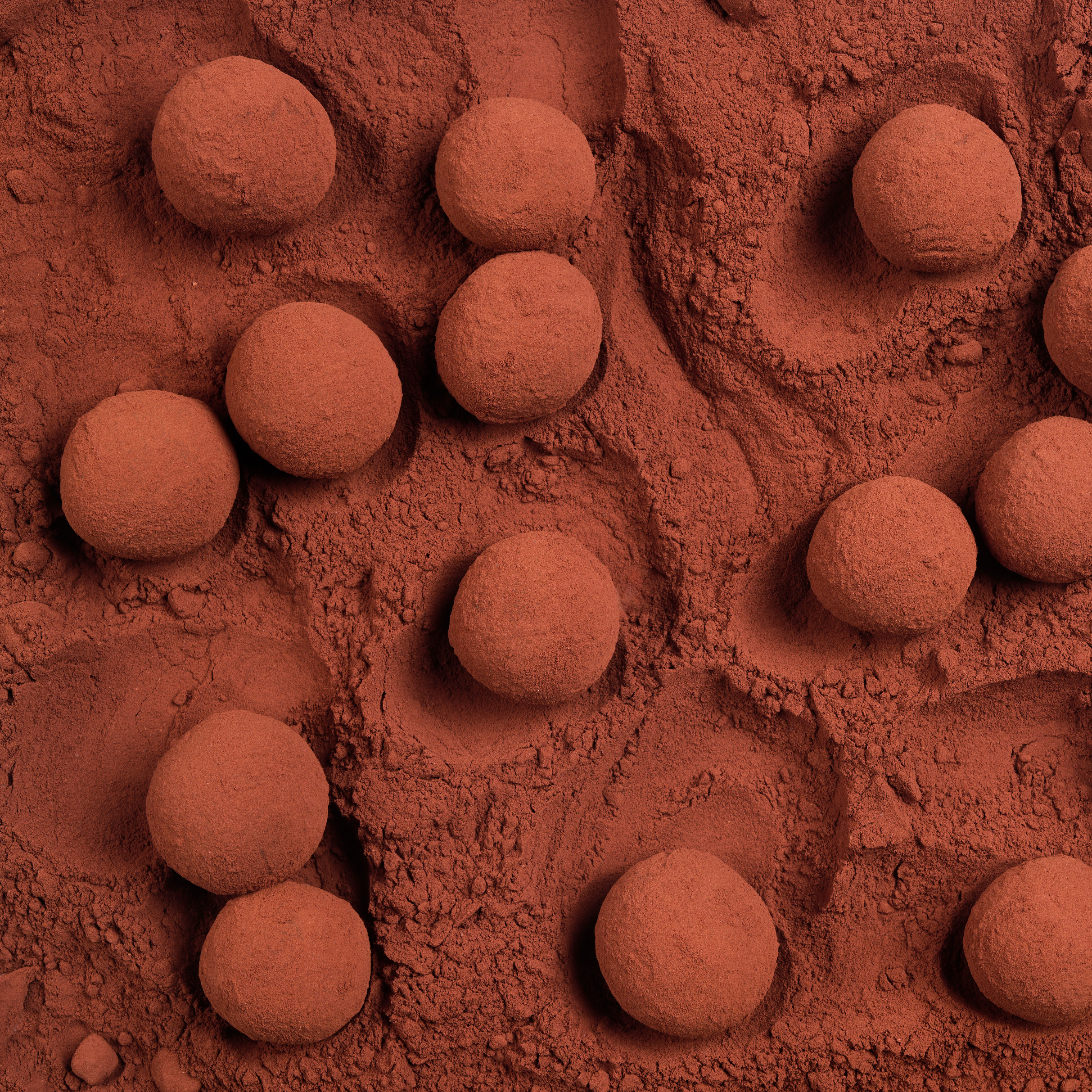Plateau_truffes_detail-2026-Seve-Ph_Jalin.png