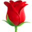 Idéal pour la Saint Valentin 