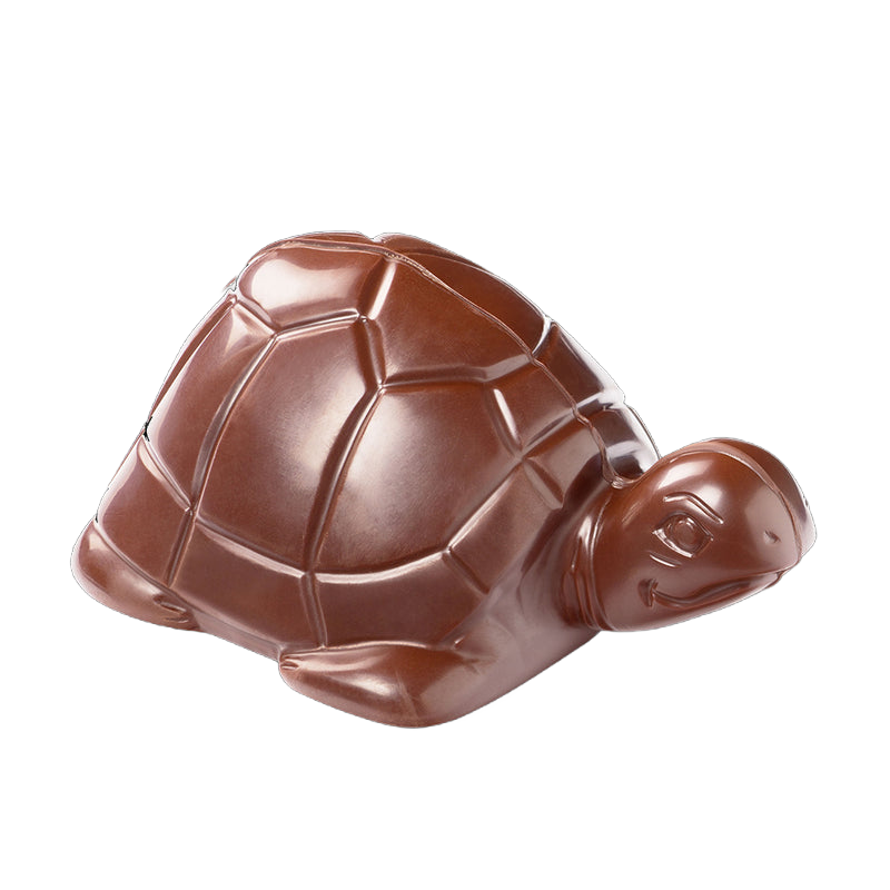 Tortue_de_paques_lait_sans_fond_chocolat_Seve