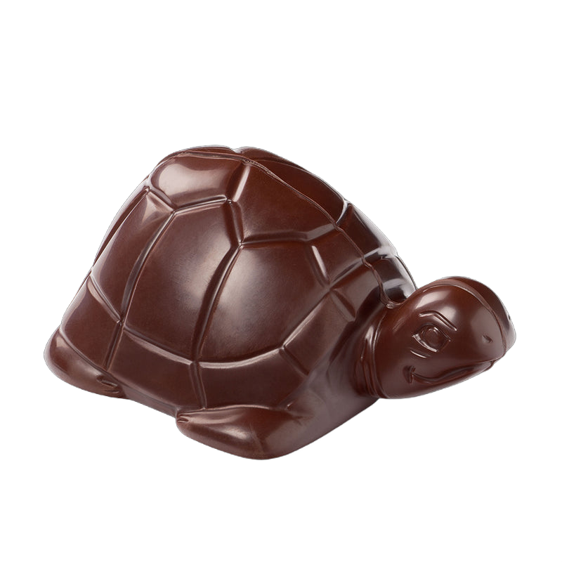 Tortue_de_paques_noir_sans_fond_chocolat_Seve