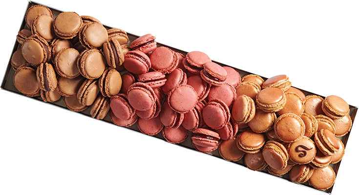 Macarons Sève Pâtisserie Chocolaterie Lyon