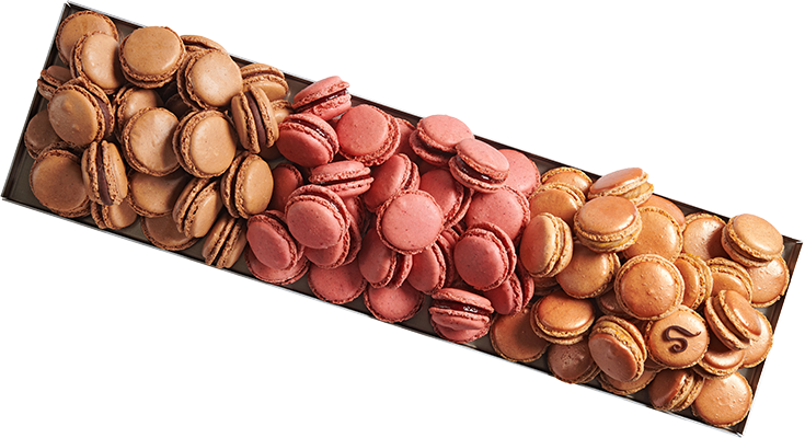 Macarons Sève Pâtisserie Chocolaterie Lyon